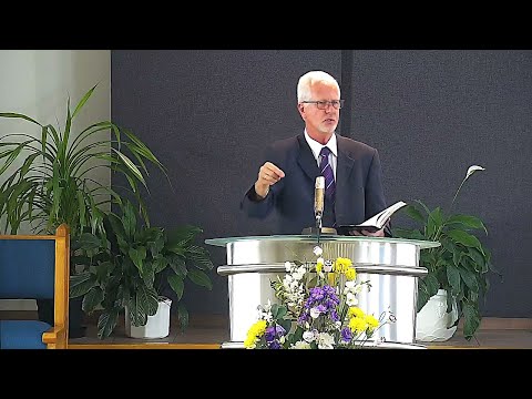 Siniša Maljik – 2 – Reforma pre početka krize