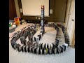 DVD Dominos