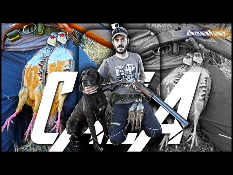 PERDICES al SALTO ¡Sin dolor no hay VICTORIA!