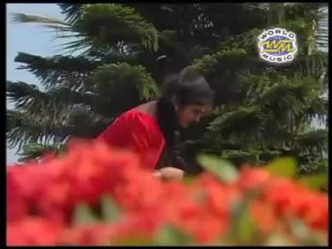 Tora Lamba Beni Aau Tochahani