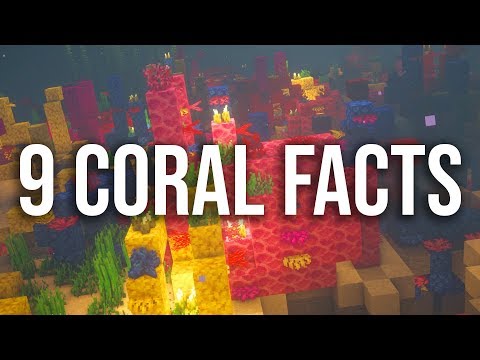 OMGcraft - Minecraft Tips & Tutorials! - 9 Tricks & Tips About Coral in Minecraft!