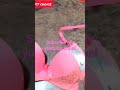 Pink Bra Set