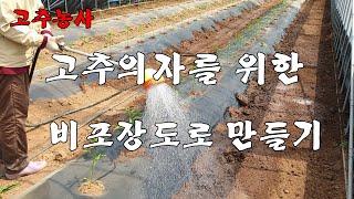 고추의자를 위한 비포장도로 만들기-고추정식 1주일