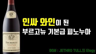 (ENG) 루이자도 피노누아 Louis Jadot Bourgogne Pinot Noir. 최근에 핫한 부르고뉴의 기본급 와인 시음. (폭주자라이더 70편)