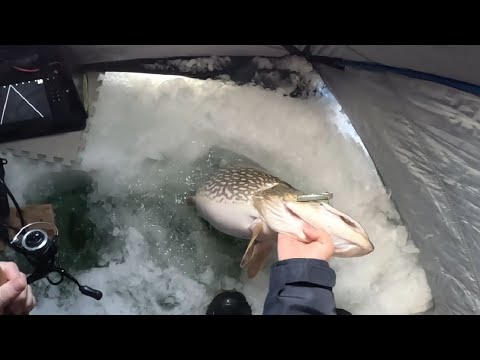 Fishing during the Winter Solstice for PB Fish!