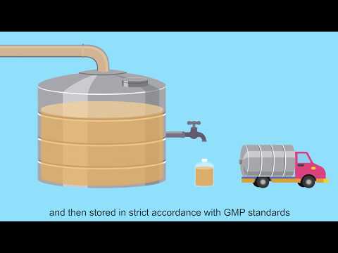 Production process of Angel baker's yeast