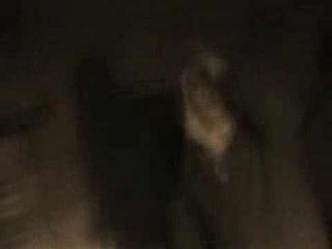 Buspass - What Does It Take Video