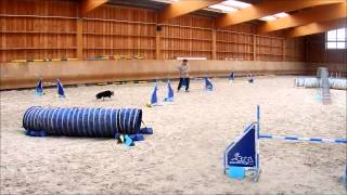 Taira trénink u Alice