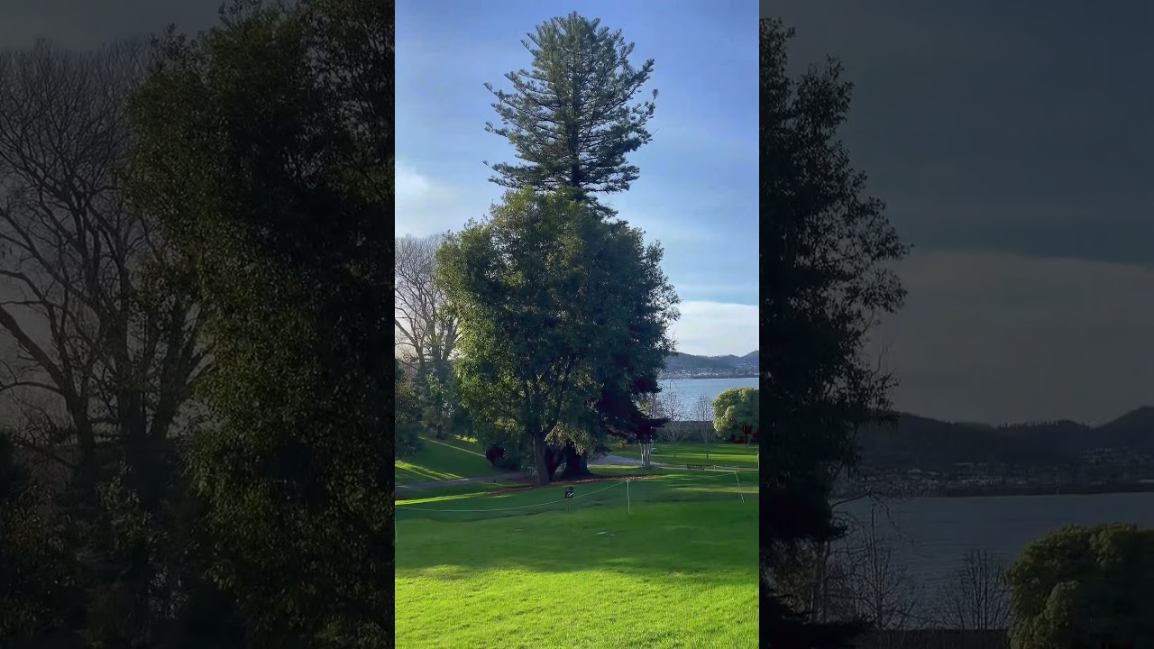 YouTube Short thumbnail