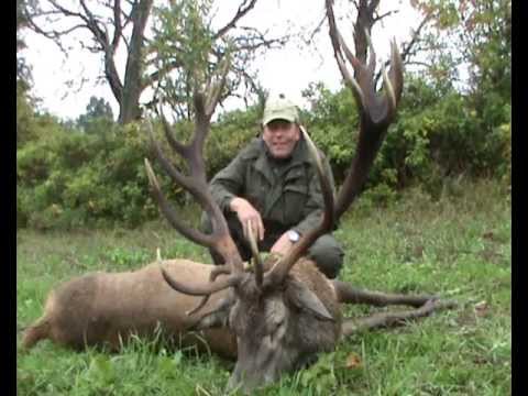 Kapitaler ung. 20 Ender liegt auf der Strecke!