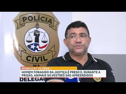 Polícia recaptura foragido e apreende pássaros em São José de Ribamar