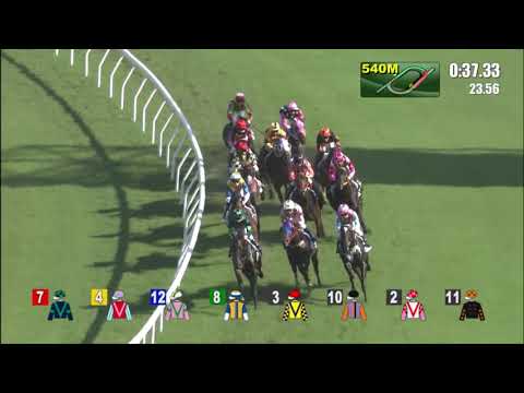 10/7/2022 (814) Beauty Charge -  Matthew Chadwick