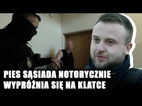 Pies "notorycznie" załatwia się na klatce schodowej. Sąsiedzi nie wytrzymali