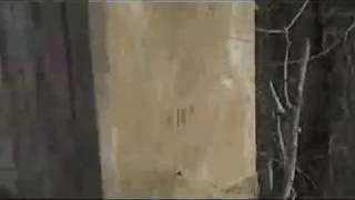 Paintball - Pinned Down