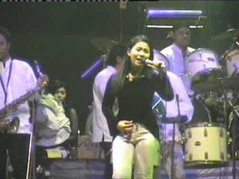 CS MUSICDUT-BERBUNGA LAGI