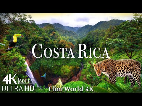 Costa Rica Wildlife 4K - Animals That Call The Jungle of Costa Rica Home | Scenic Relaxation Film