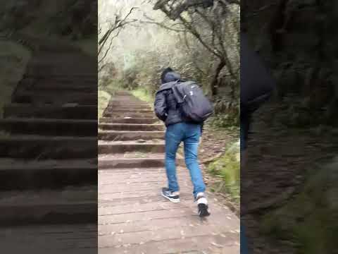 Grutas de Salamanca Departamento de Maldonado Uruguay 🇺🇾