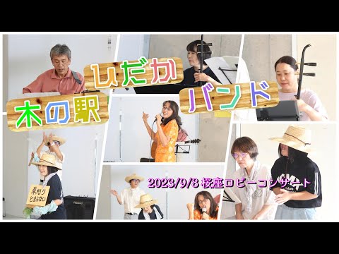 なぜ桜の木は実を結ばないのでしょうか？豊作のために解決すべき5つの潜在的な問題  庭園