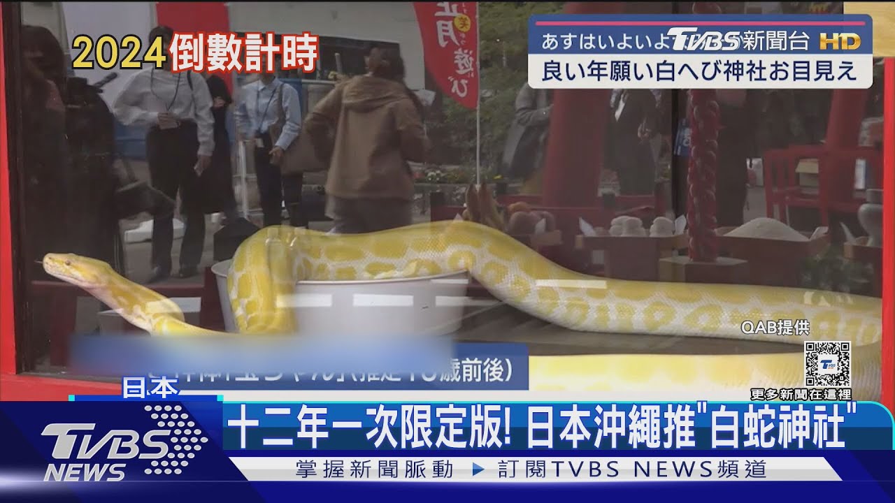 十二年一次限定版！日本沖繩推「白蛇神社」