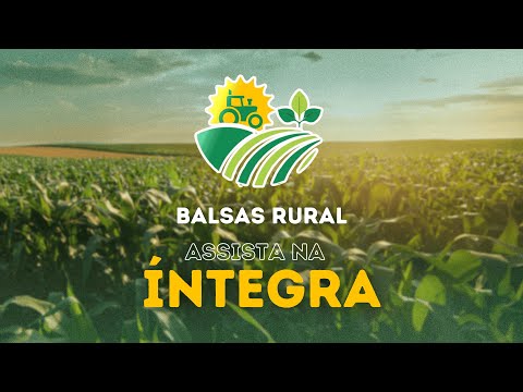 PROGRAMA BALSAS RURAL 31 01 2026