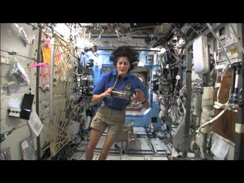 Astronaut Greets YouTube Space Lab Participants