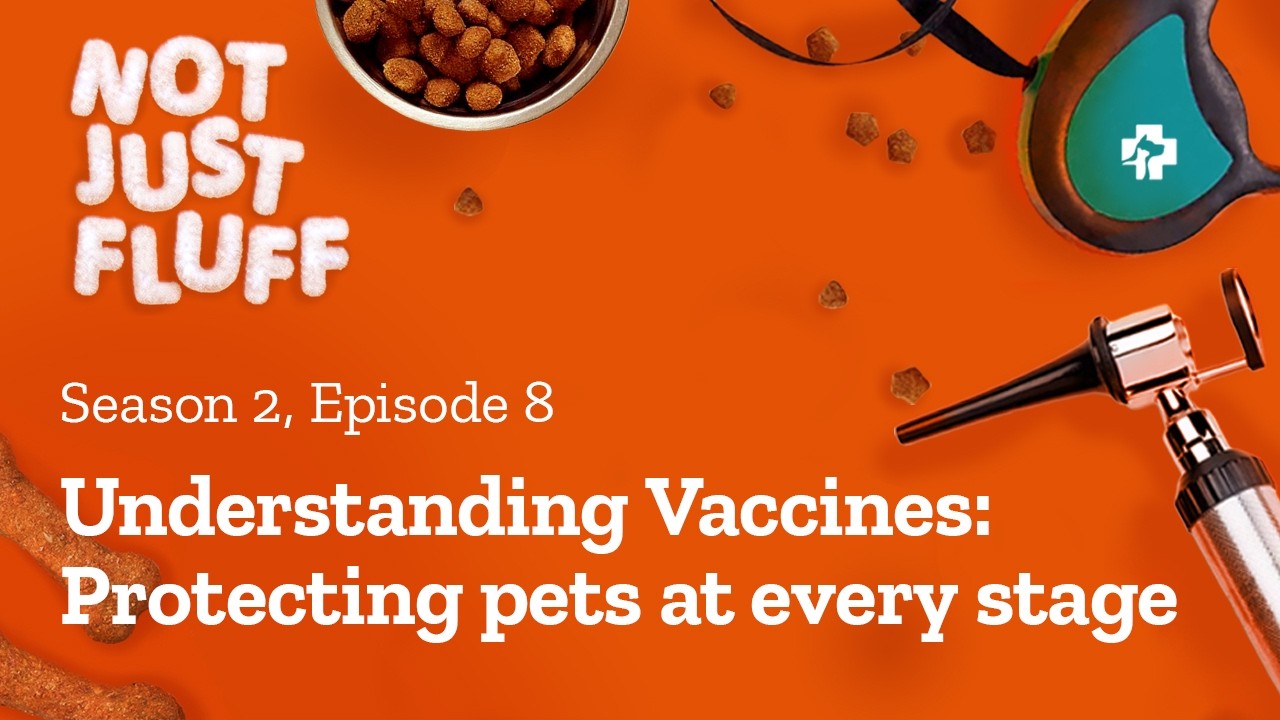 Understanding Vaccines: Protecting pets at every stage