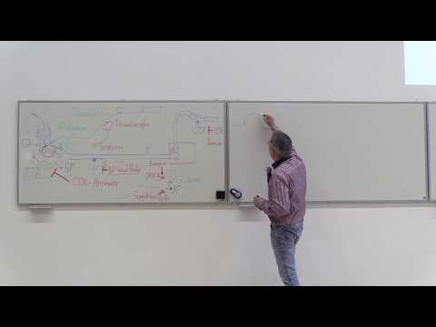 21. Schmerzmittel, Teil 2 (COX-Hemmer), NKLM Nr. 16.5.1.13 b)