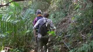 preview picture of video 'Hiking above Gudalur - Part 6'