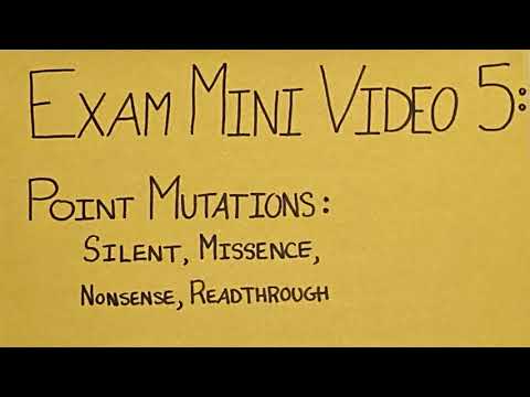 GN311 Exam Mini Video 5: Point Mutations: Silent, Missense, Nonsense, Readthrough