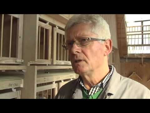 MK-TV - Nr. 24 Franz-Wilhelm Gonschior - Der Taubenflüsterer (Trailer)