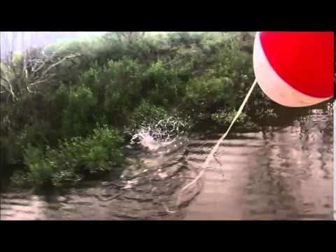 stickflingers knocking off the cobwebs