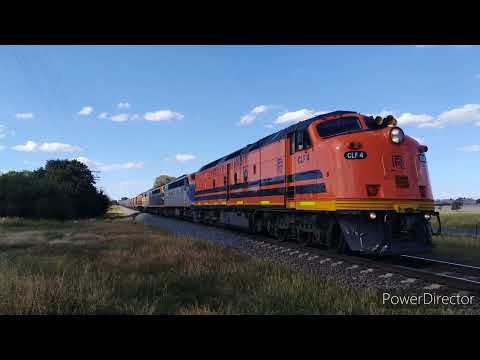 CLF4, S311, S303, GM27, CLF2 on SSR wheat 6CM5 Junee & Harefield (11,3,22)