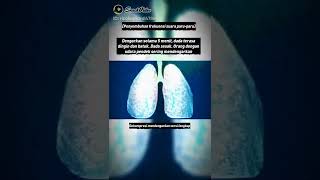 Download lagu Gelombang paru-paru sehat mp3 Download lagu Gelombang paru-paru sehat mp3