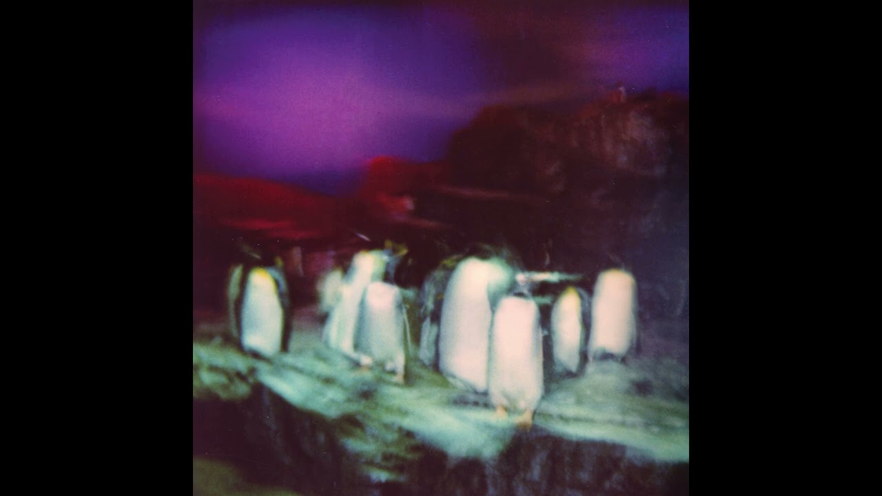 Buzzy Lee - Bad Company