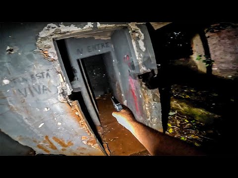 VAMOS PEGAR A CRIATURA