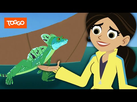 Go Wild! - Mission Wildnis | Die flinken Wassersprinter | Ganze Folge | TOGGO Serien