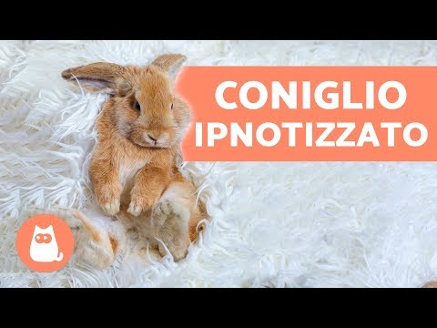 Se è possibile fare clisteri a parassiti Come fare la prova su uova di helminths al bambino