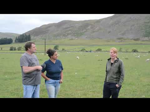 Hundleshope Farm: Part 1