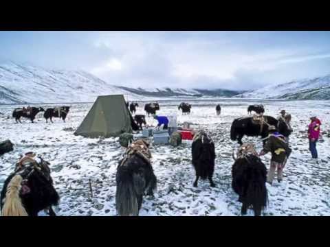 A ray of hope (music video)