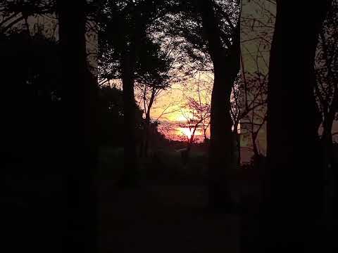 hermoso atardecer #cumaribo #vichada 🔰 🌄