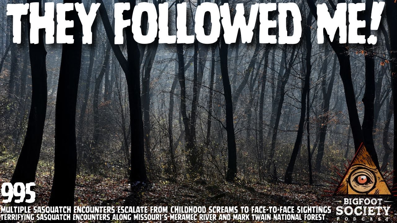 Missouri Woods Encounter Shattered Everything I Thought I Knew About Bigfoot | Archives