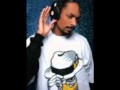 Snoop Dogg Gin And Juice