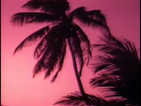 pink skies (prod by: jowjuice)