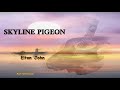 Skyline Pigeon  - Elton John  karaoke reggae (Karaoke version)