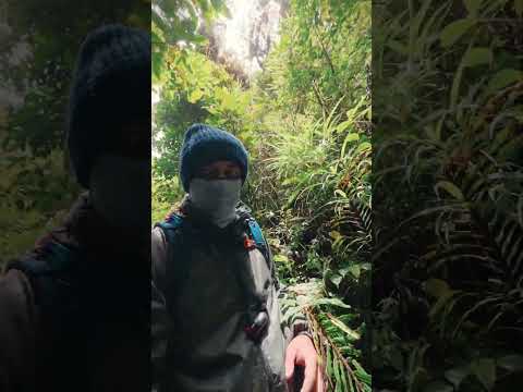 Slow steps, just real 🌿🥾 📌 Sabanilla de Poás, Alajuela  #costarica #hiking