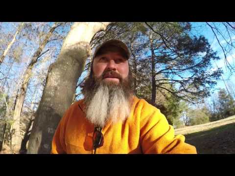 Checking The Trail Camera, Walking And Chewing Gum At The Same Time