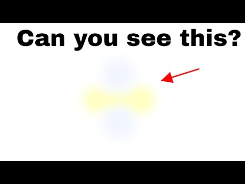 Scientist Explains How To See The Direction Of Polarized Light With Your Your Naked Eye