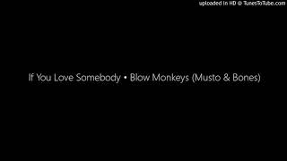 If You Love Somebody • Blow Monkeys (Musto & Bones)