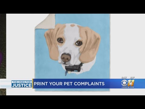 Dallas Company Facing Criticism Over Pet Prints