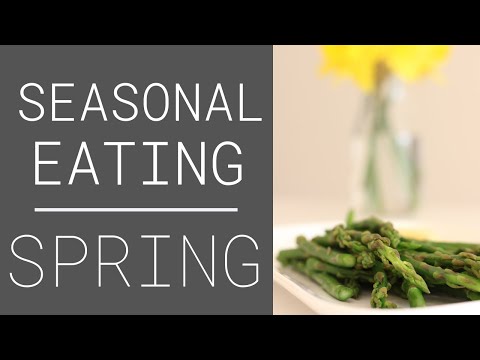 download lagu mp3 mp4 Spring Season Food, download lagu Spring Season Food gratis, unduh video klip Spring Season Food